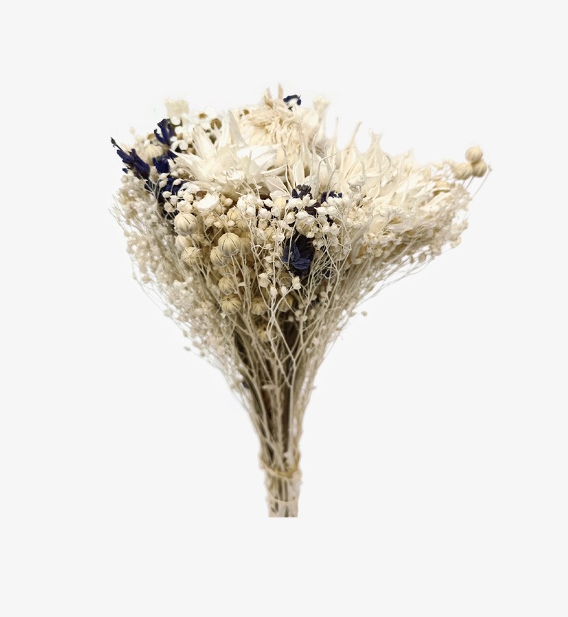 Ramo flores secas blanca ESPIGA