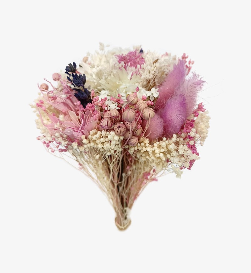 Pink Dried Flowers 